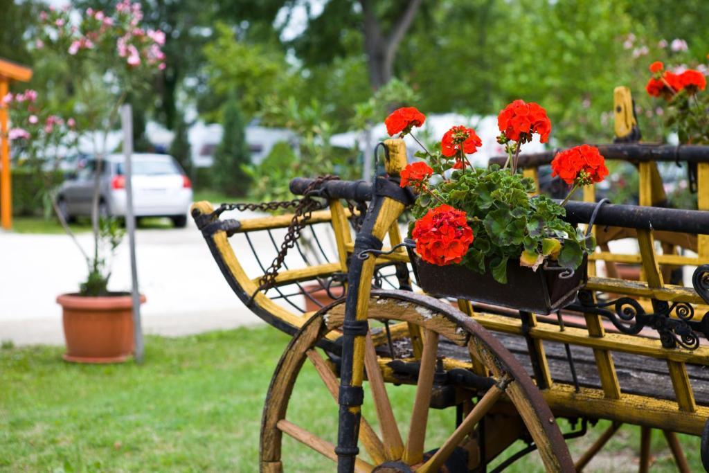 Balaton Eldorado Camping Badacsonytördemic Exterior foto