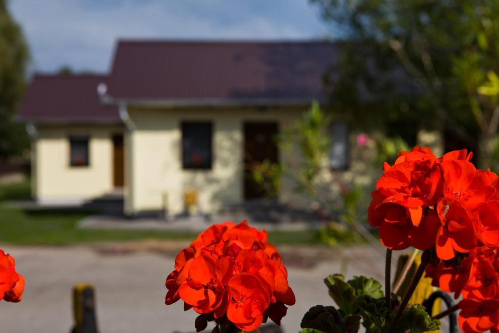 Balaton Eldorado Camping Badacsonytördemic Exterior foto